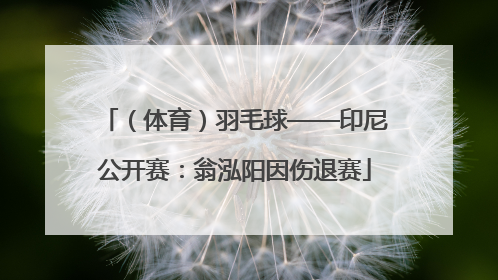 （体育）羽毛球——印尼公开赛：翁泓阳因伤退赛