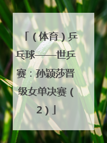 （体育）乒乓球——世乒赛：孙颖莎晋级女单决赛（2）