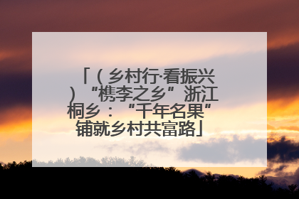 （乡村行·看振兴）“槜李之乡”浙江桐乡：“千年名果”铺就乡村共富路