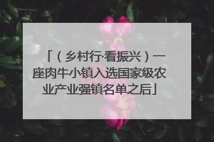 （乡村行·看振兴）一座肉牛小镇入选国家级农业产业强镇名单之后
