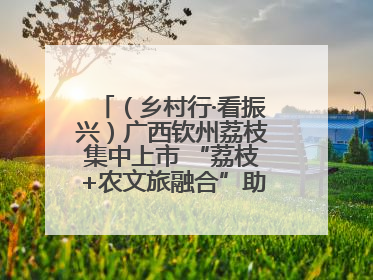 （乡村行·看振兴）广西钦州荔枝集中上市 “荔枝+农文旅融合”助农增收