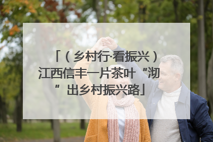 （乡村行·看振兴）江西信丰一片茶叶“沏”出乡村振兴路