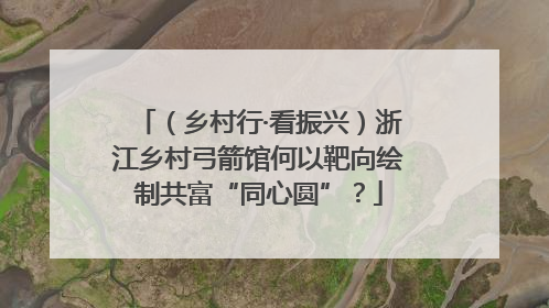 （乡村行·看振兴）浙江乡村弓箭馆何以靶向绘制共富“同心圆”？