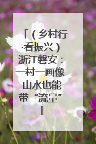 （乡村行·看振兴）浙江磐安：一村一画像 山水也能带“流量”