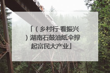 （乡村行·看振兴）湖南石鼓油纸伞撑起富民大产业