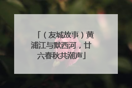 （友城故事）黄浦江与默西河，廿六春秋共潮声