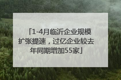 1-4月临沂企业规模扩张提速，过亿企业较去年同期增加55家