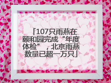107只雨燕在颐和园完成“年度体检”，北京雨燕数量已超一万只