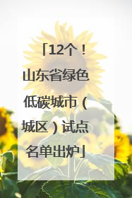 12个！山东省绿色低碳城市（城区）试点名单出炉