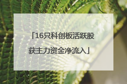 16只科创板活跃股获主力资金净流入