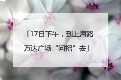 17日下午，到上海路万达广场“问招”去