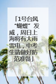 1号台风“蝴蝶”发威，周日上海将有大雨雷电，中考生请做好防范准备