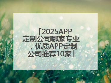 2025APP定制公司哪家专业，优质APP定制公司推荐10家