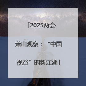2025两会·萧山观察：“中国视谷”的新江湖