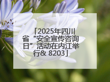 2025年四川省“安全宣传咨询日”活动在内江举行& 8203