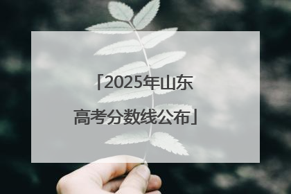 2025年山东高考分数线公布