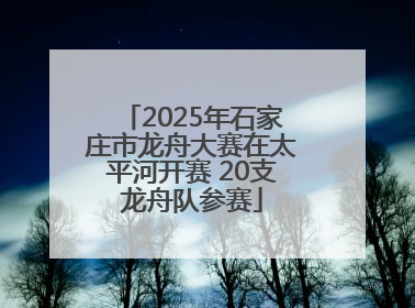 2025年石家庄市龙舟大赛在太平河开赛 20支龙舟队参赛