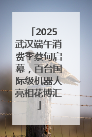 2025武汉端午消费季蔡甸启幕，百台国际级机器人亮相花博汇