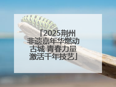 2025荆州非遗嘉年华燃动古城 青春力量激活千年技艺