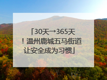 30天→365天！温州鹿城五马街道让安全成为习惯