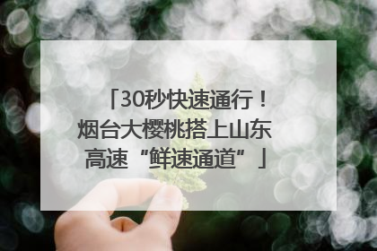 30秒快速通行！烟台大樱桃搭上山东高速“鲜速通道”