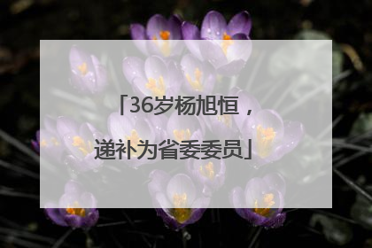 36岁杨旭恒，递补为省委委员