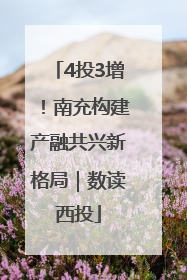 4投3增！南充构建产融共兴新格局｜数读西投