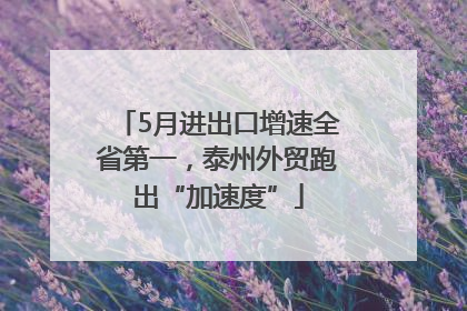 5月进出口增速全省第一，泰州外贸跑出“加速度”