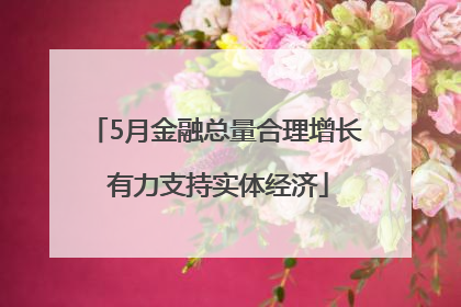 5月金融总量合理增长 有力支持实体经济