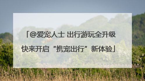 @爱宠人士 出行游玩全升级 快来开启“携宠出行”新体验