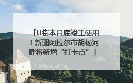 U街本月底竣工使用！新疆阿拉尔市胡杨河畔将新增“打卡点”